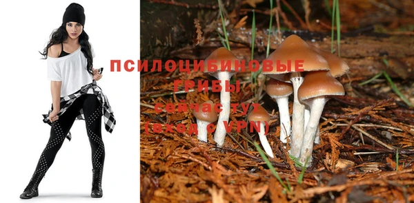 мяу мяу кристалл Алексеевка