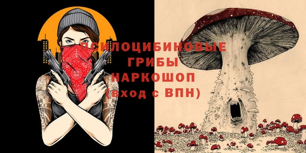 амфетамин Алексин