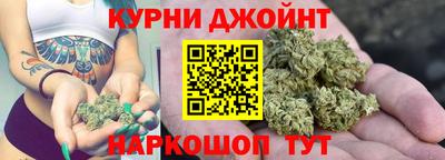 индика Рузаевка