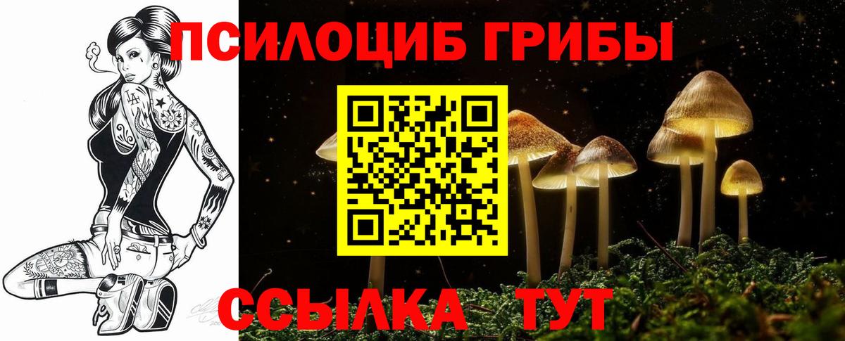 Коркино  Галлюциногенные грибы прущие грибы  Псилоцибиновые грибы GOLDEN TEACHER  Вход с VPN 